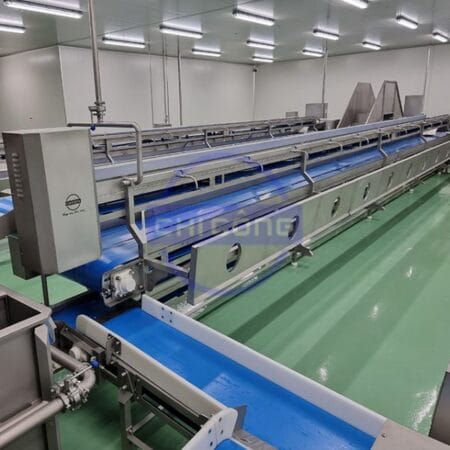 Trimming Conveyor