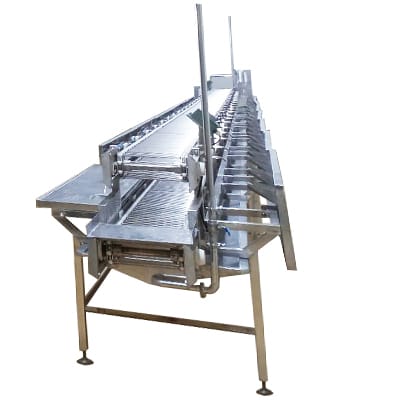 Shrimp Processing Conveyor
