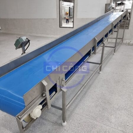 Transfer Conveyor