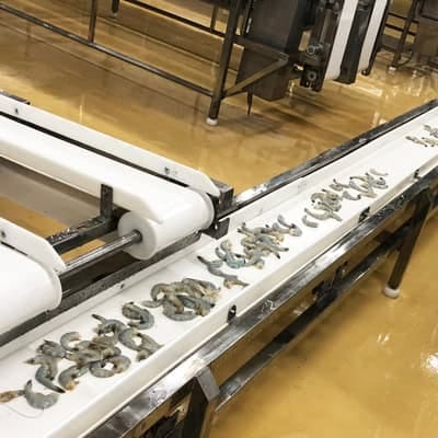 Shrimp conveyor
