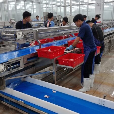 Fillet Conveyor