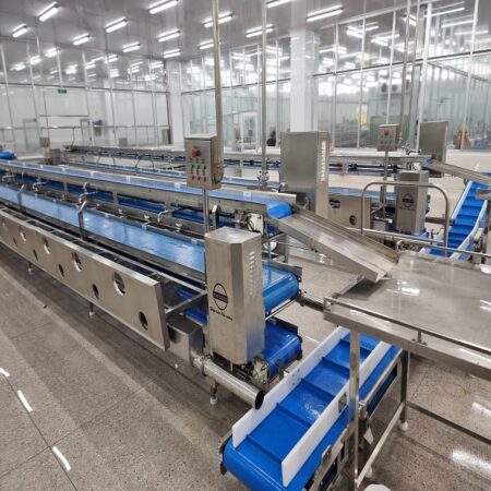 Trimming Conveyor