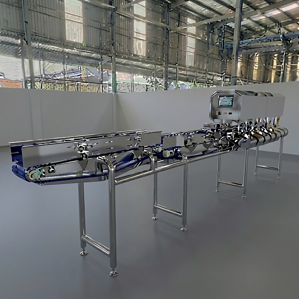 Whole Fish Grading Machine